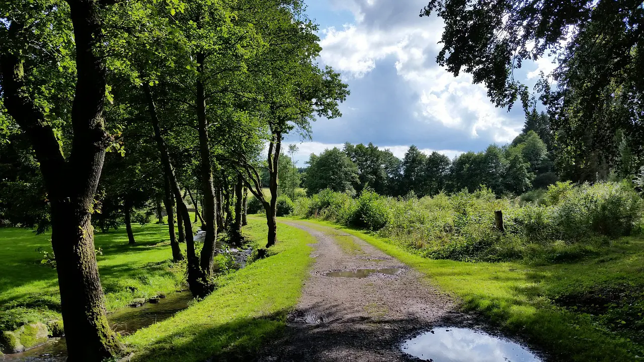 Départ des dernières Sœurs de l’abbaye de Clairefontaine