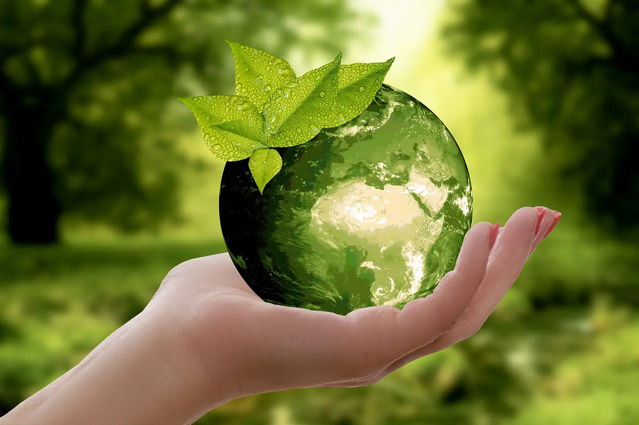 Venez marcher à la Marche pour le climat (3/12)