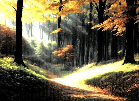 Solitude en Dieu, récit d’une ermite