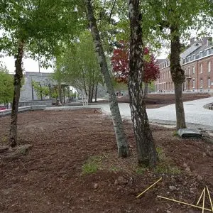 Jardin des apparitions Beauraing