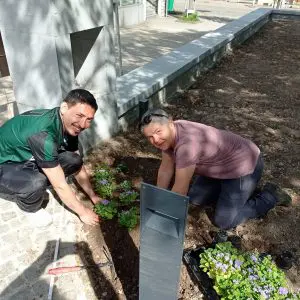 Céline et Gustavo ... et la plantation des argentums!