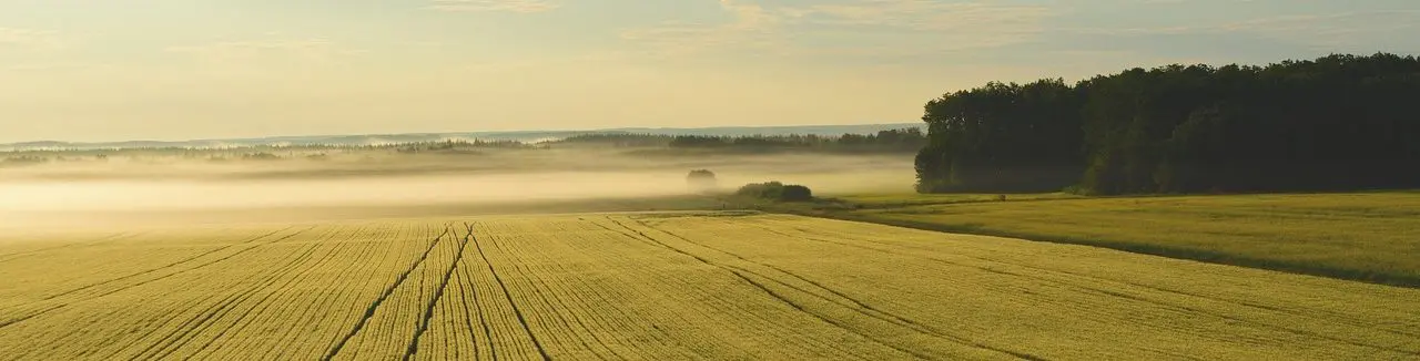 Zoom sur la ruralité dans notre diocèse