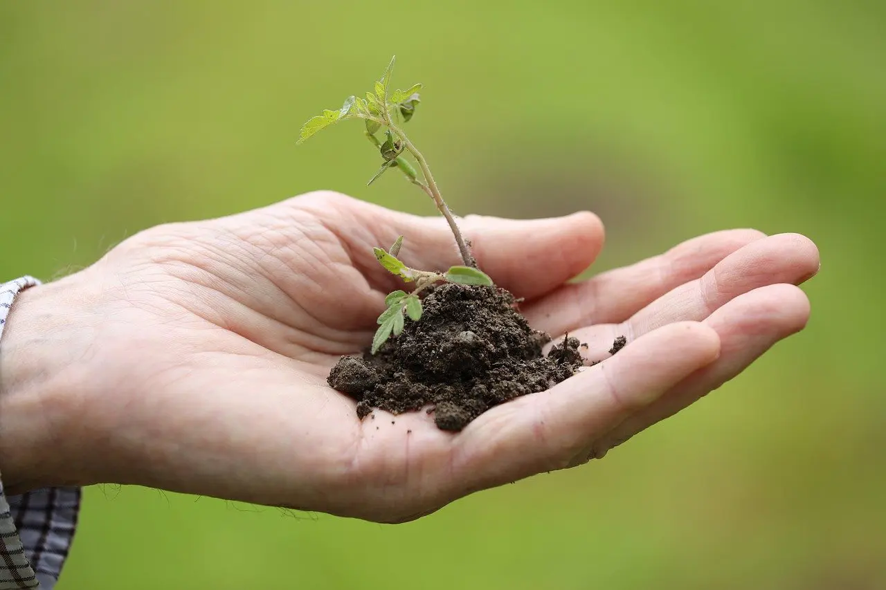 Jardin des apparitions de Beauraing : recherche jardiniers d’un jour