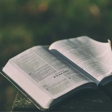Voyages au cœur des Écritures : Méthodes et récits bibliques
