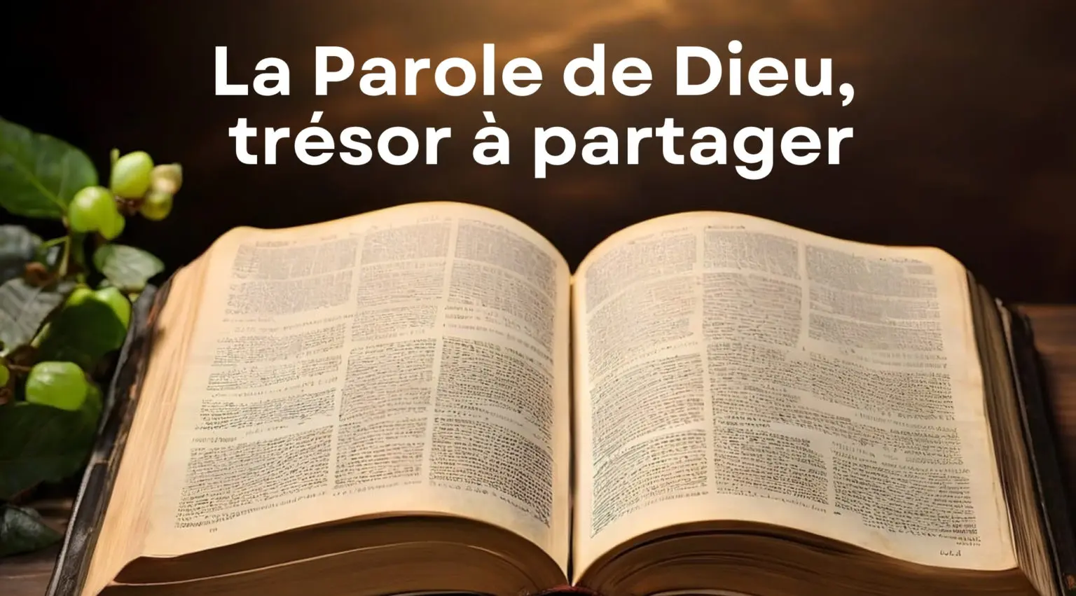 Session 2025 : La parole de Dieu, trésor à partager