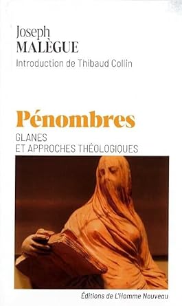 Pénombres. Glanes et approches théologiques