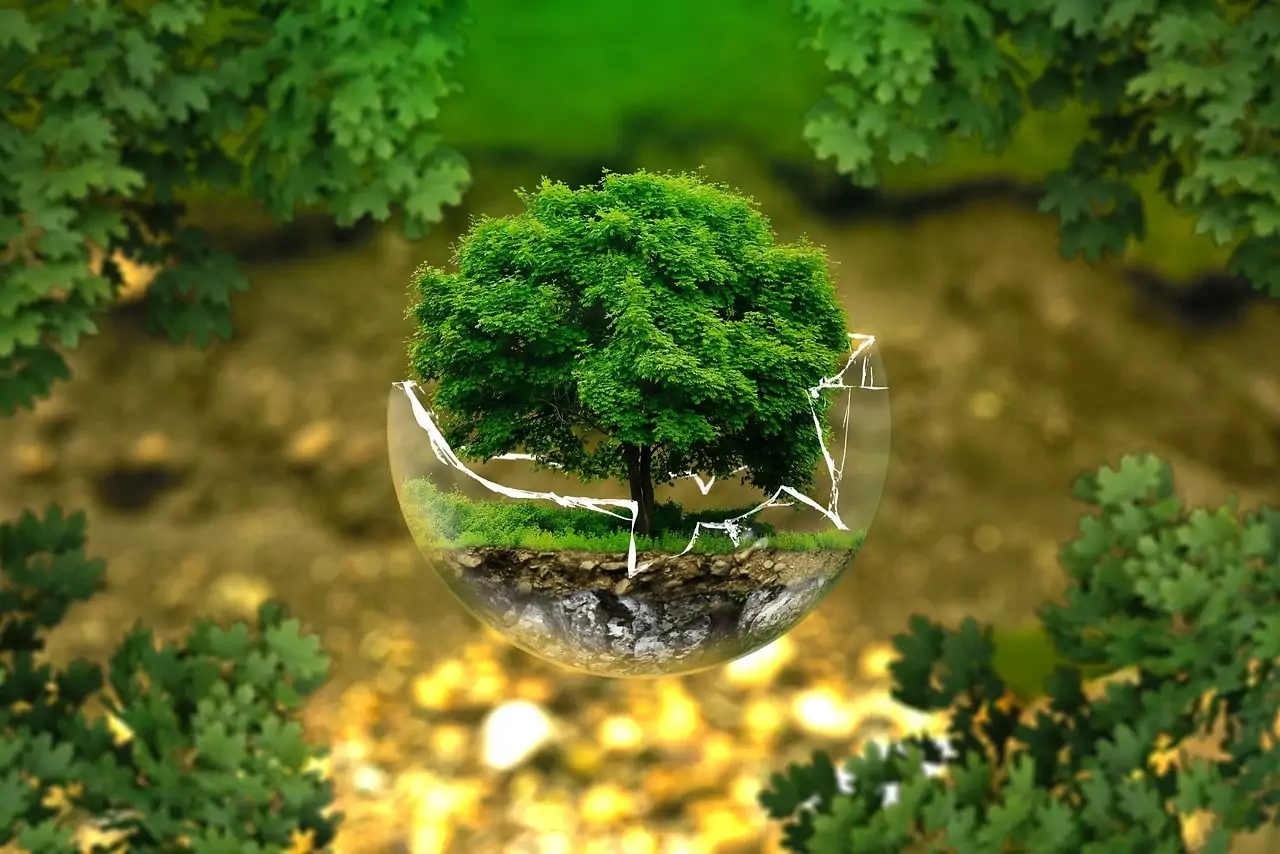 « Modules d’animation Laudato Si » : deux dossiers d’animations sur l’écologie intégrale