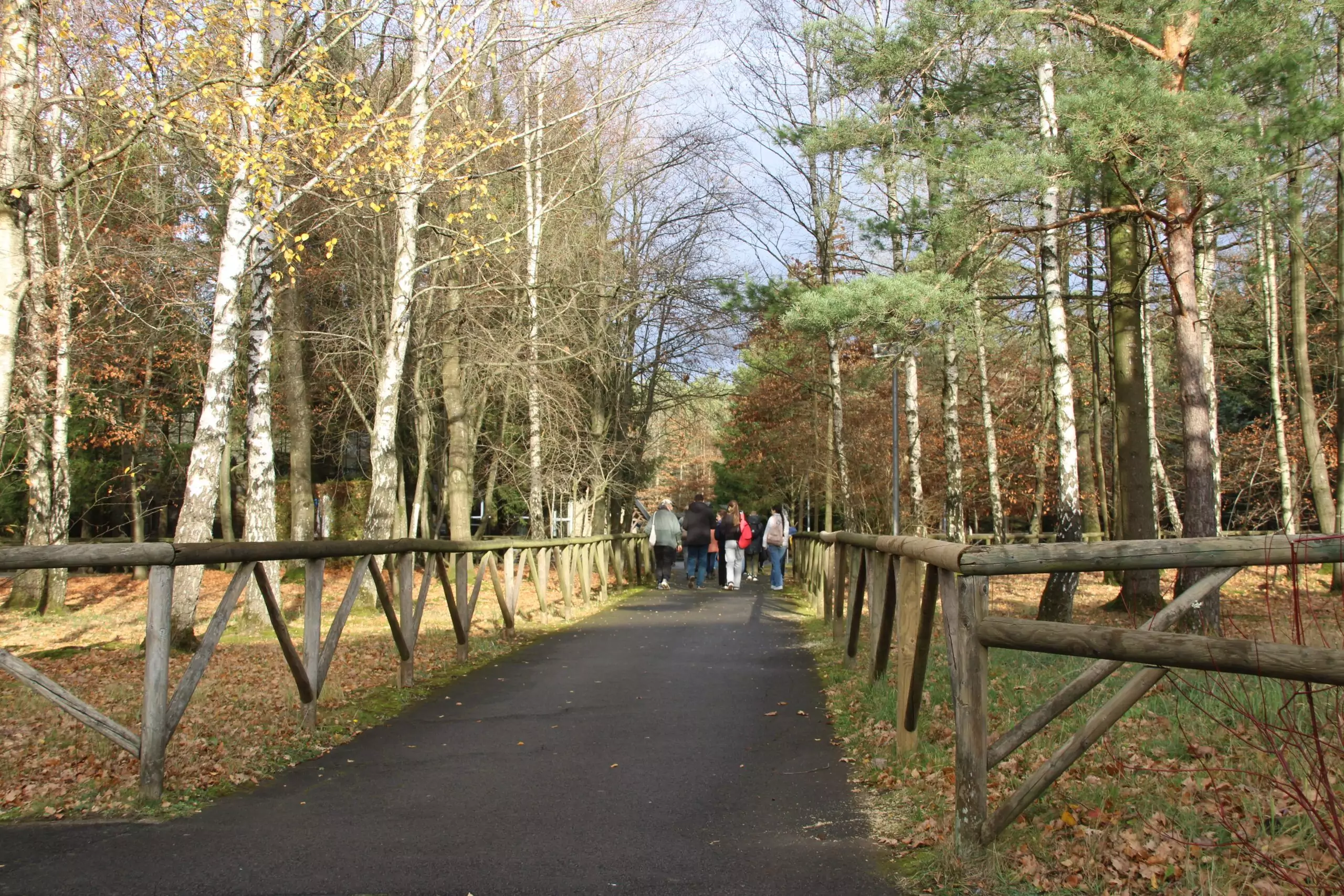 9e édition de la journée mondiale des pauvres avec le diocèse de Namur !