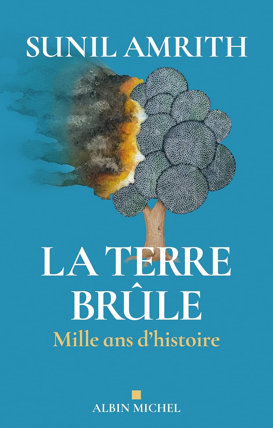 La terre brûle. Mille ans d’histoire