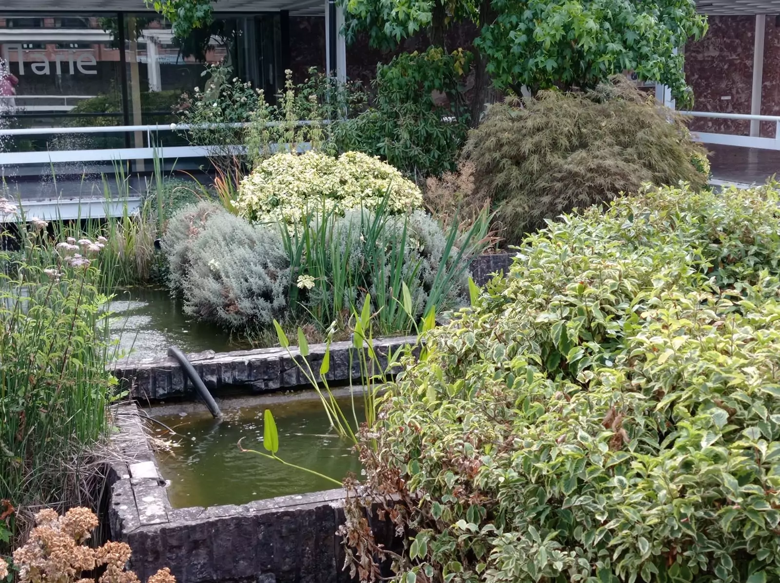 Bienvenue, à Malonne, dans Le patio du Bon Dieu